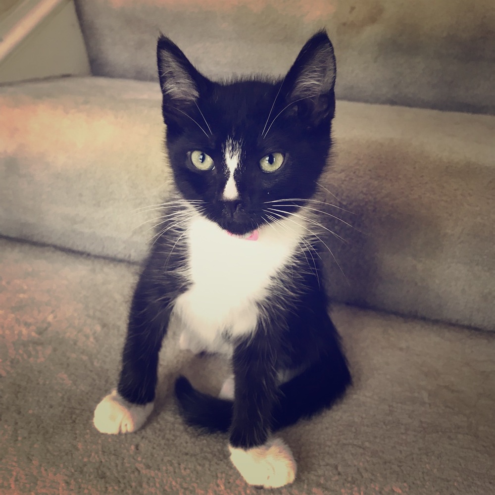 Make an offer or bundle and offer!